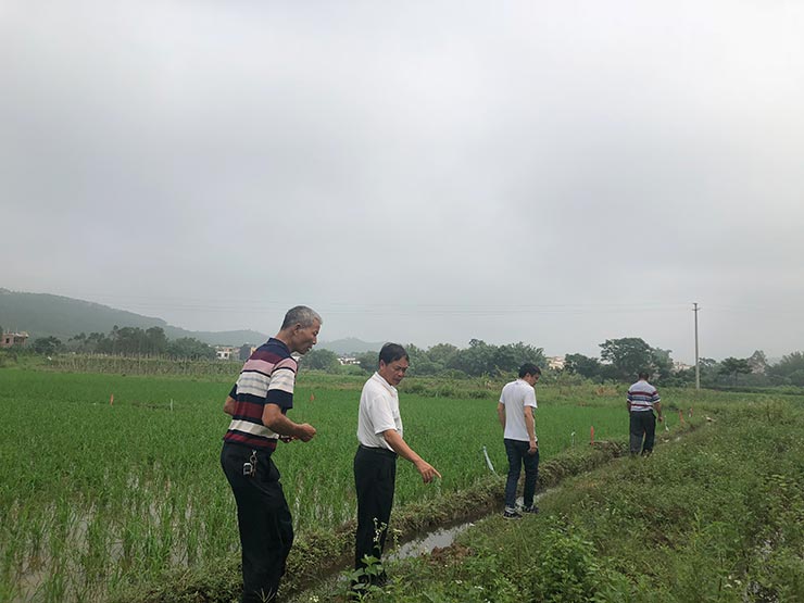 首页| J9集团国际站官方网站
