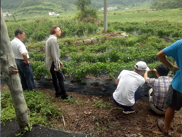 首页| J9集团国际站官方网站
