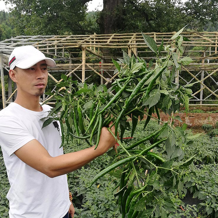 首页| J9集团国际站官方网站