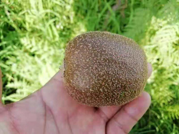 首页| J9集团国际站官方网站