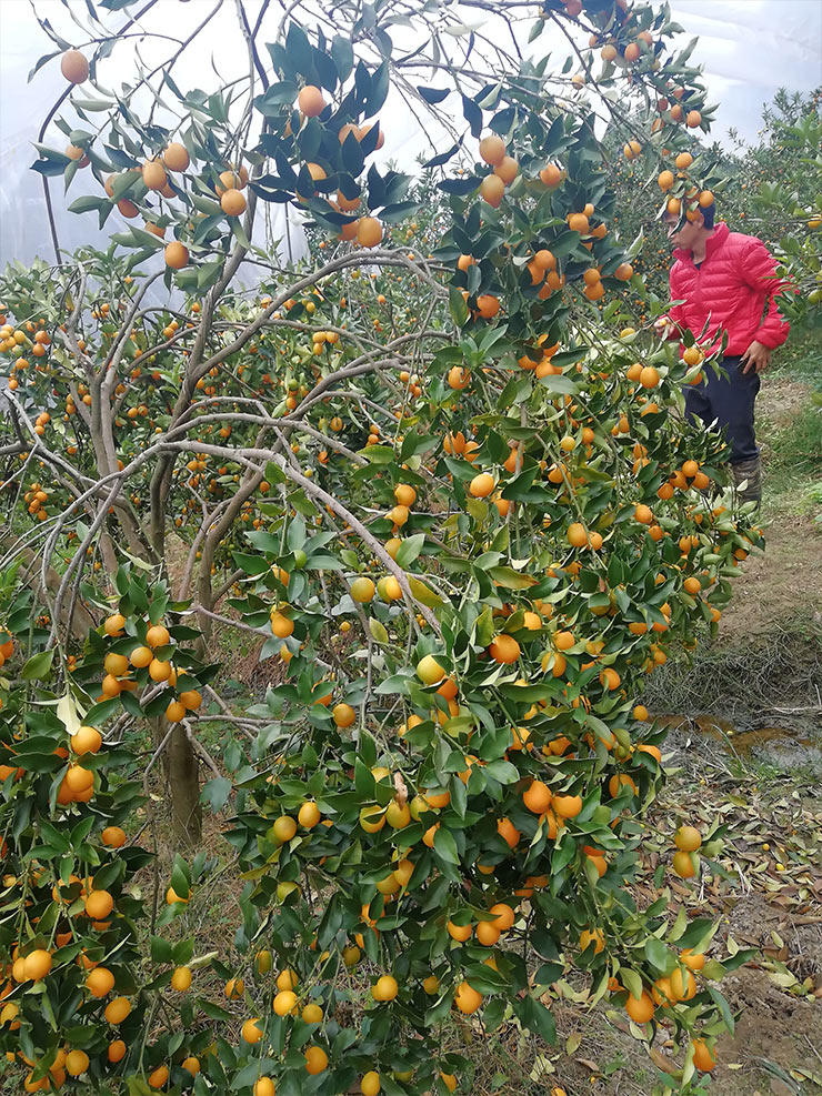 首页| J9集团国际站官方网站