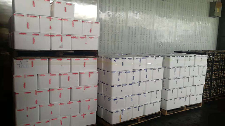 首页| J9集团国际站官方网站