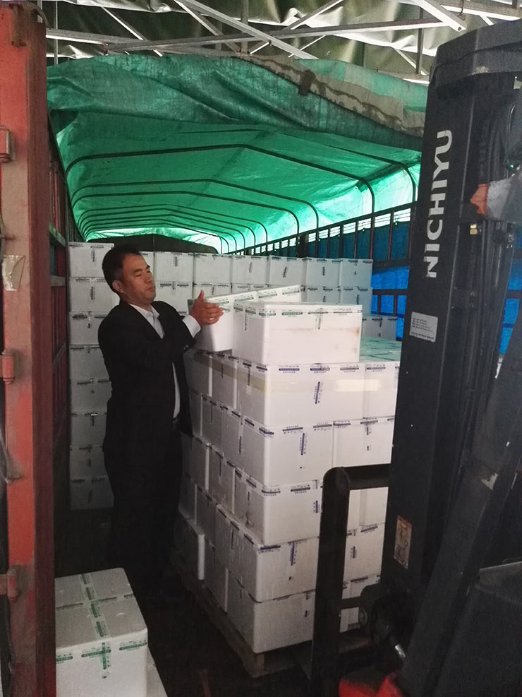 首页| J9集团国际站官方网站