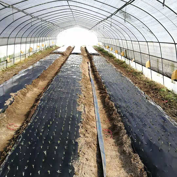 首页| J9集团国际站官方网站