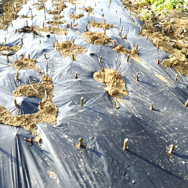 首页| J9集团国际站官方网站