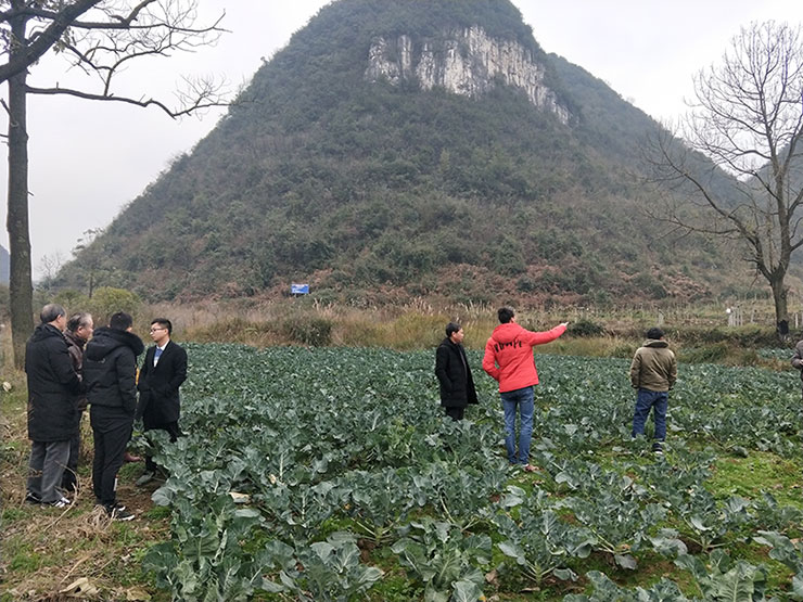 首页| J9集团国际站官方网站
