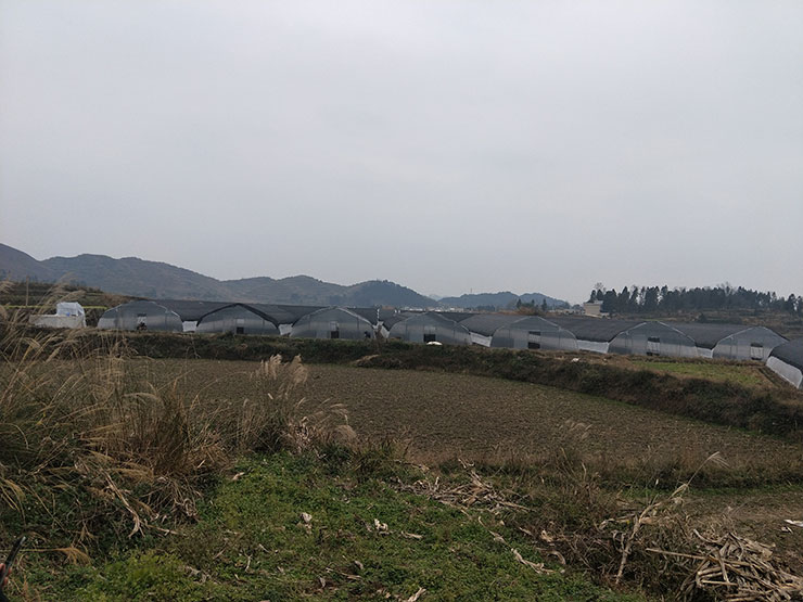 首页| J9集团国际站官方网站