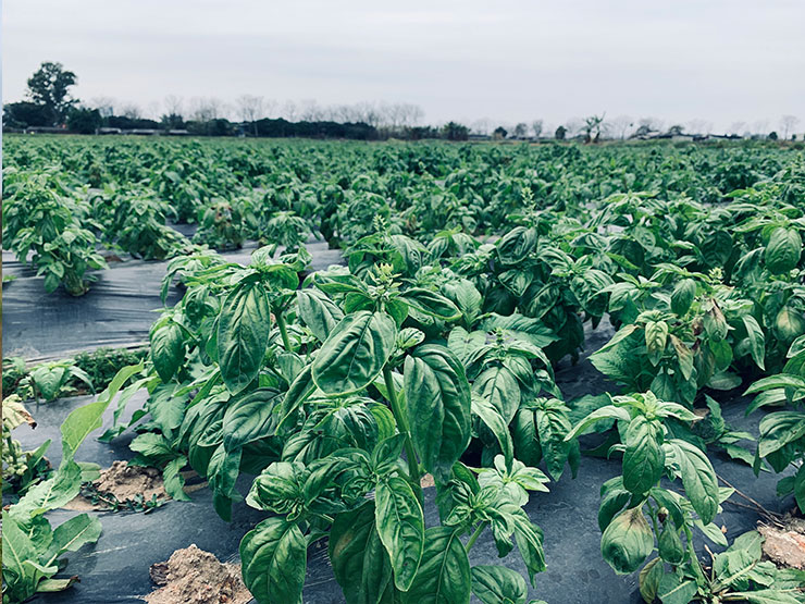 首页| J9集团国际站官方网站