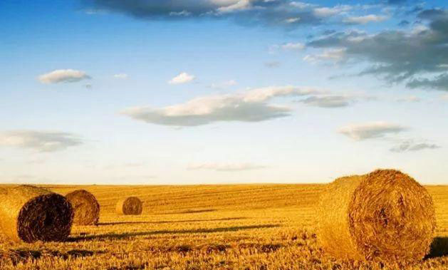 首页| J9集团国际站官方网站