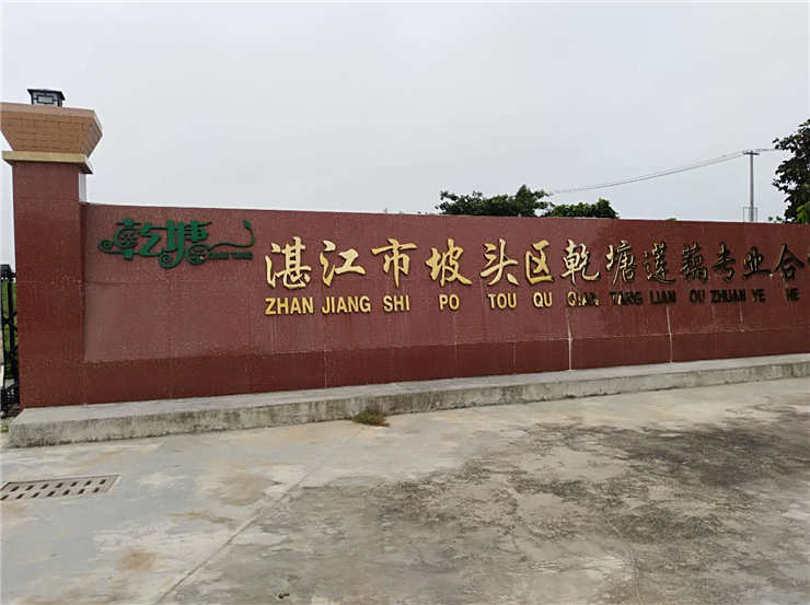 首页| J9集团国际站官方网站