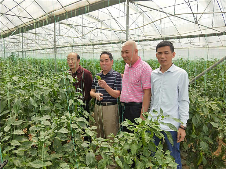 首页| J9集团国际站官方网站