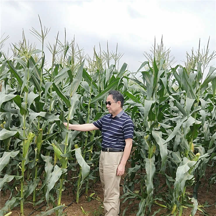 首页| J9集团国际站官方网站