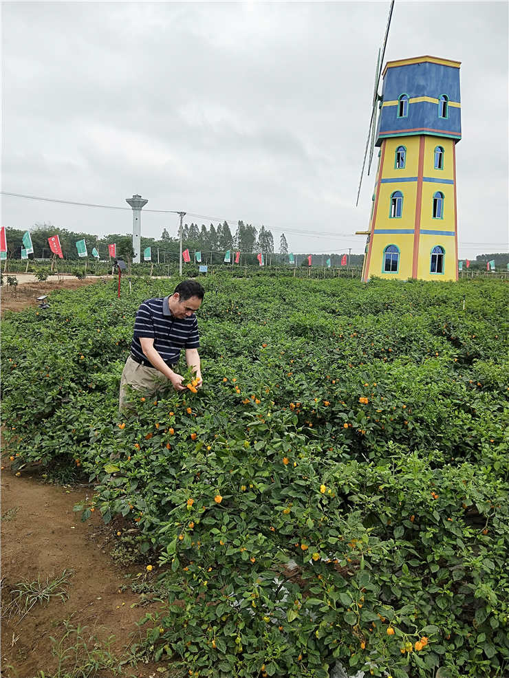 首页| J9集团国际站官方网站
