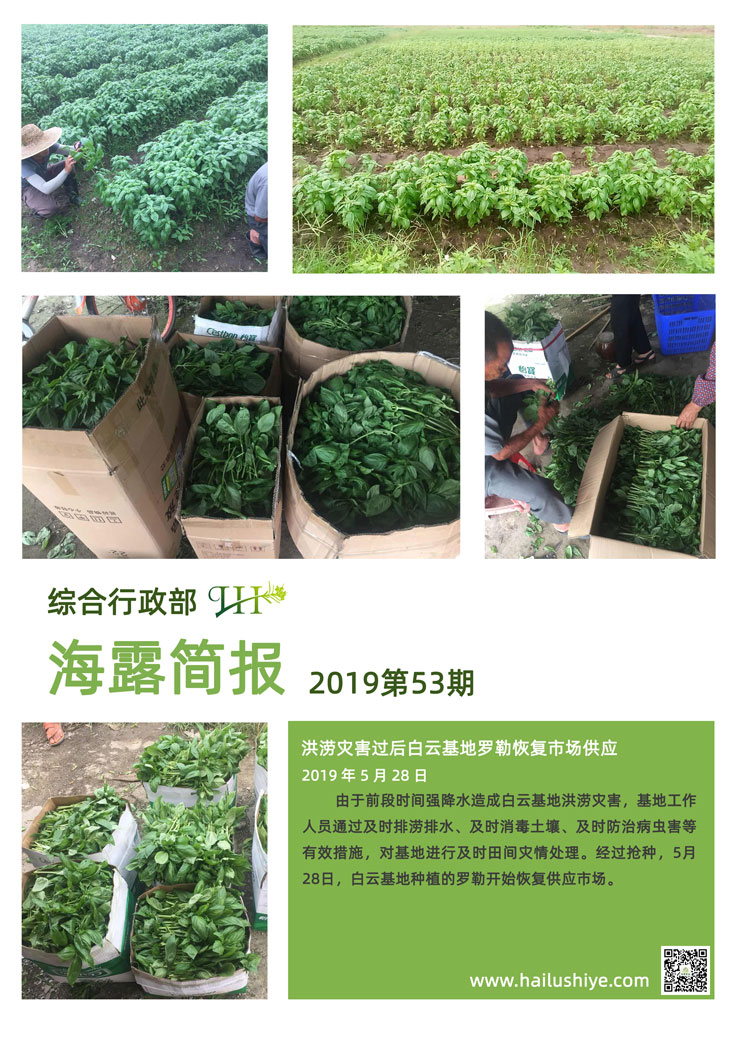 首页| J9集团国际站官方网站