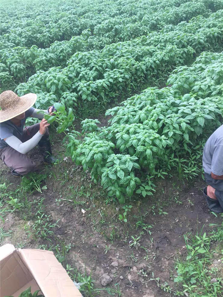 首页| J9集团国际站官方网站