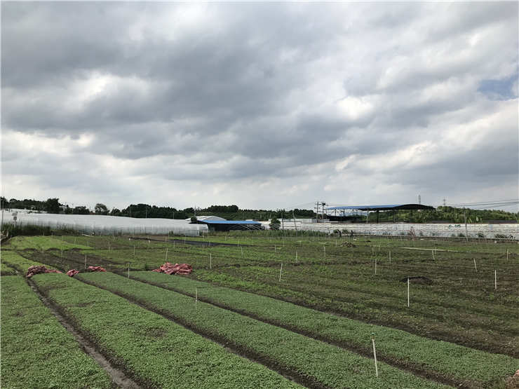 首页| J9集团国际站官方网站