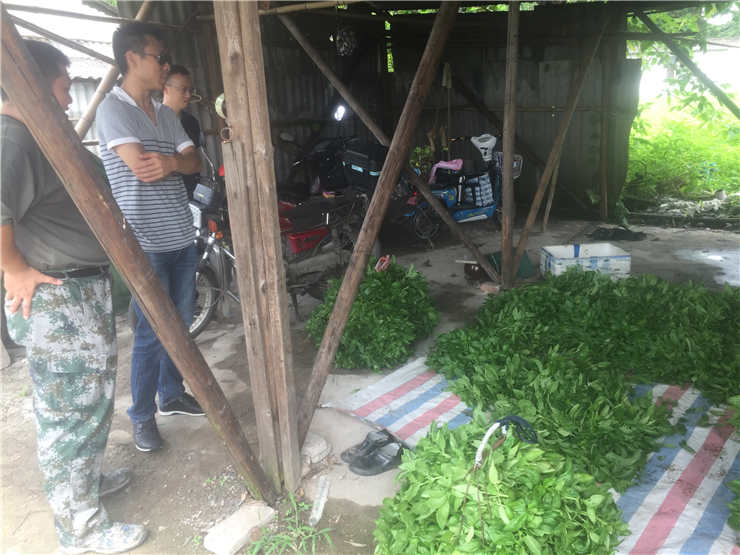 首页| J9集团国际站官方网站