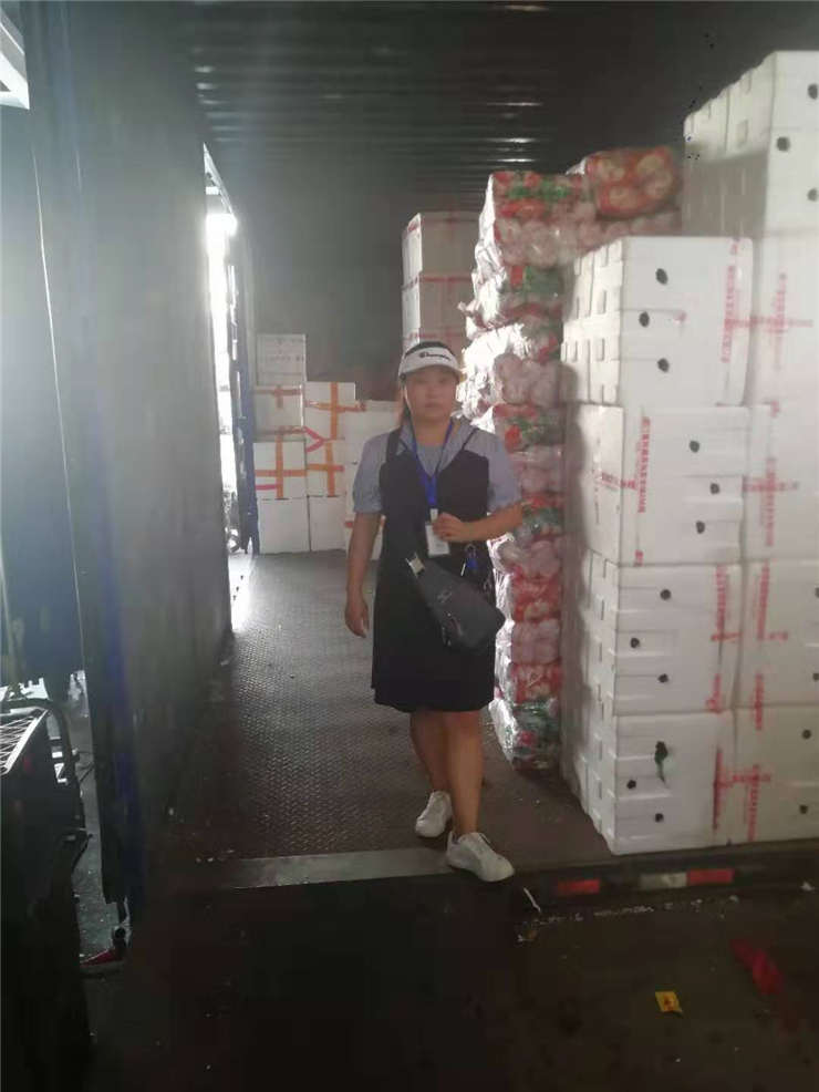 首页| J9集团国际站官方网站