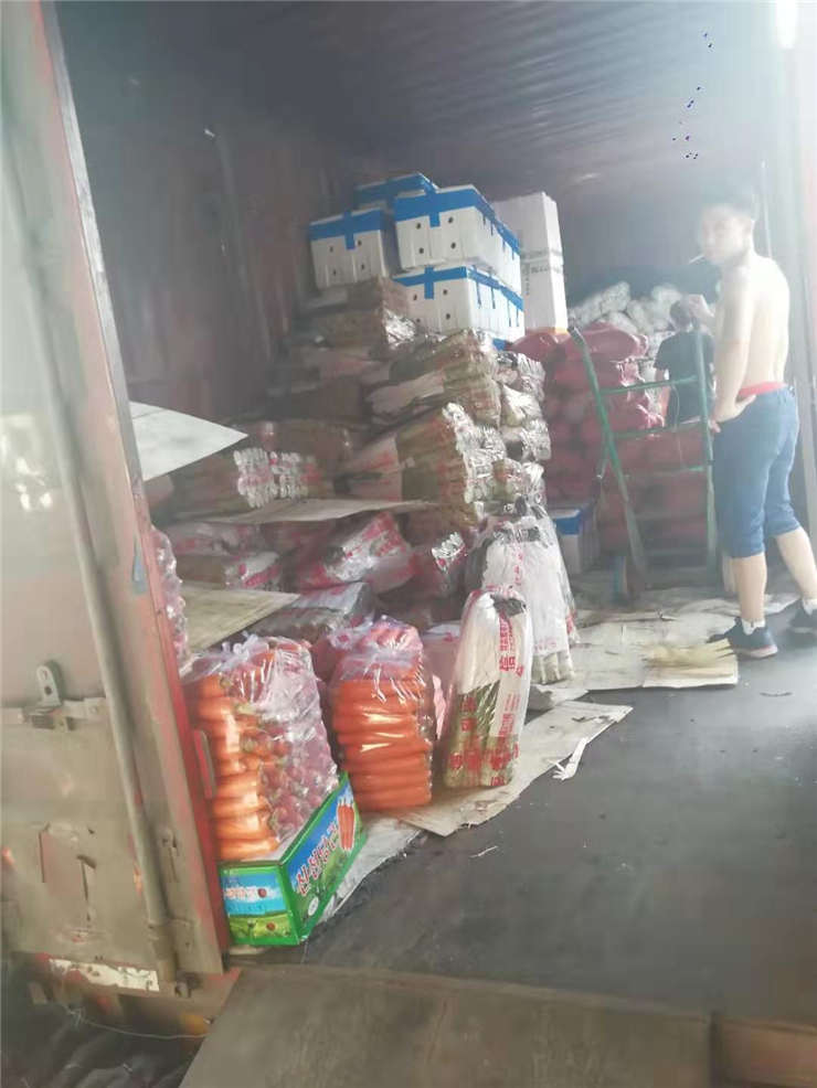 首页| J9集团国际站官方网站