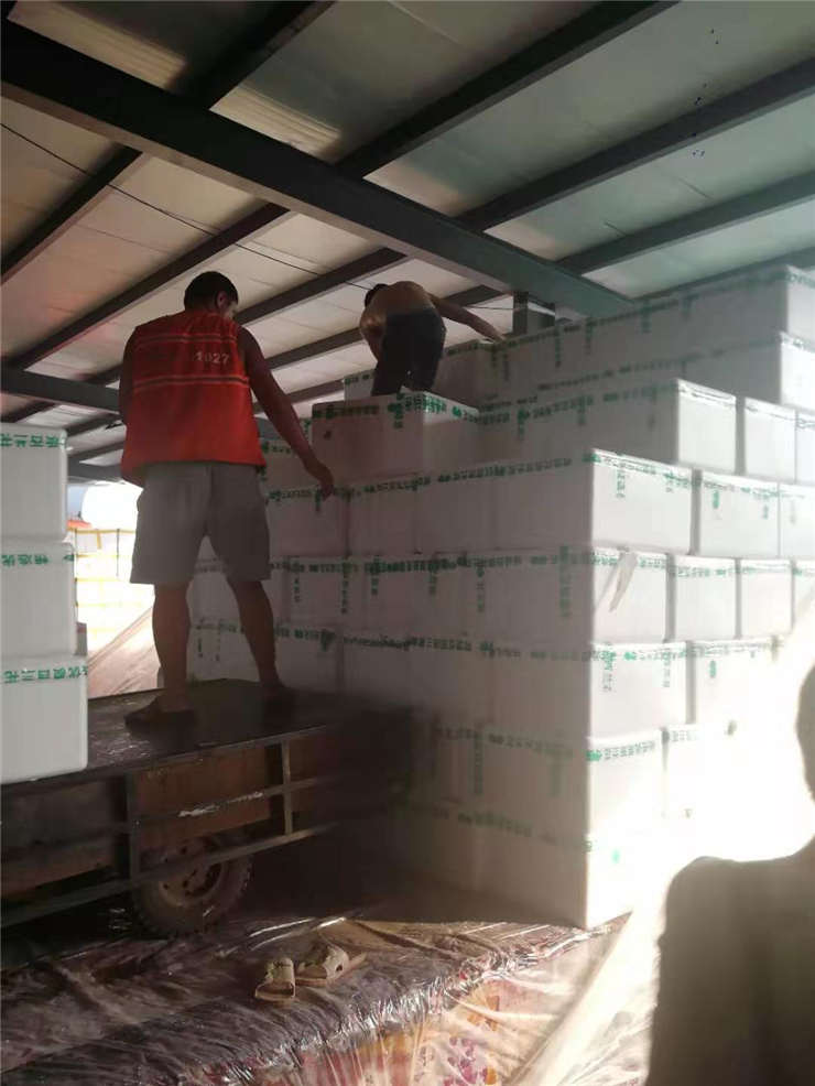 首页| J9集团国际站官方网站