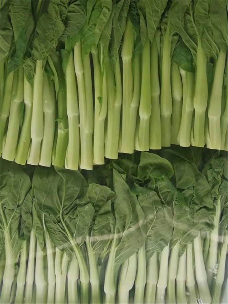 首页| J9集团国际站官方网站