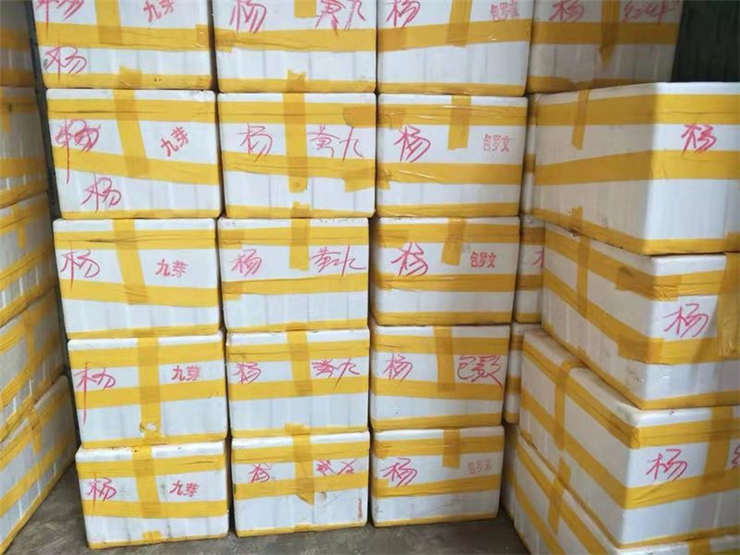 首页| J9集团国际站官方网站