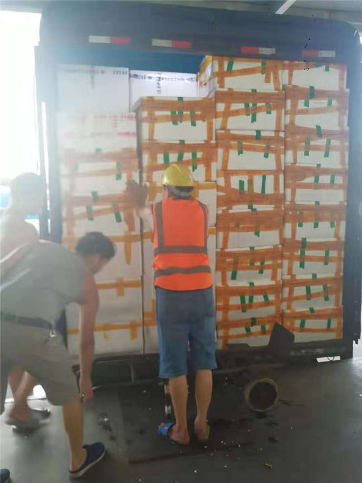 首页| J9集团国际站官方网站