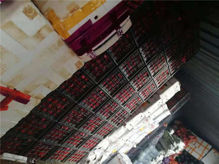 首页| J9集团国际站官方网站