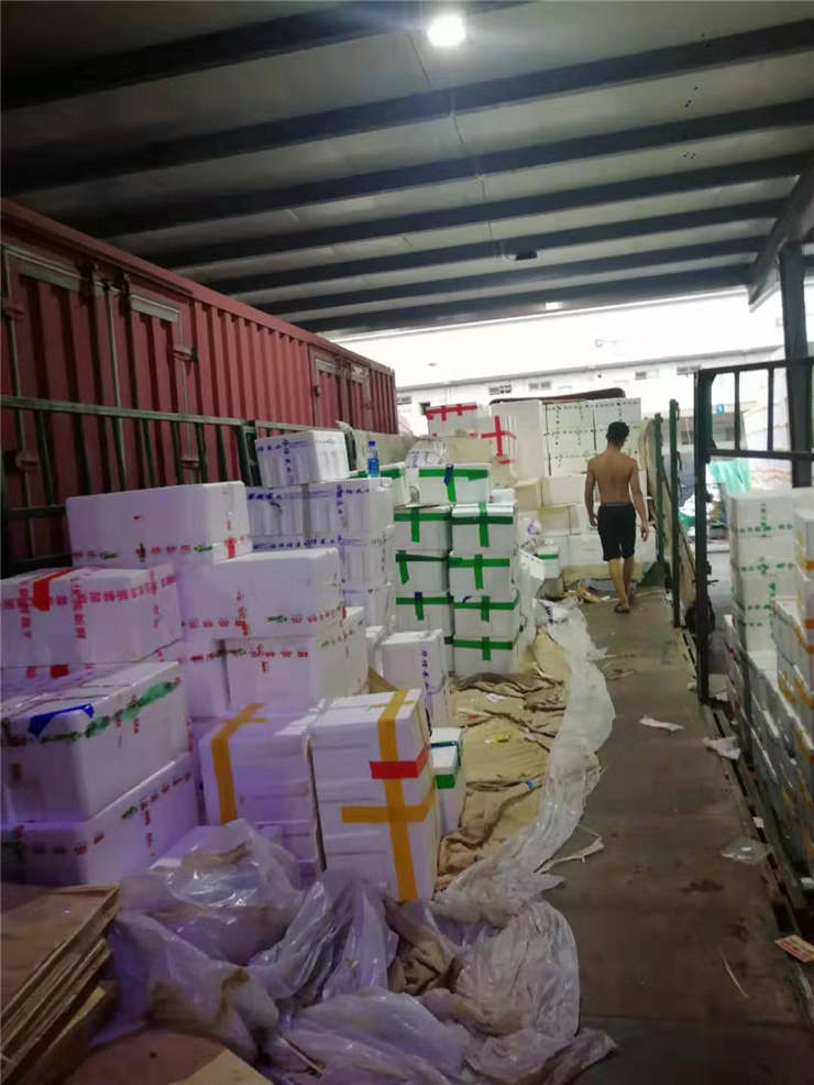 首页| J9集团国际站官方网站