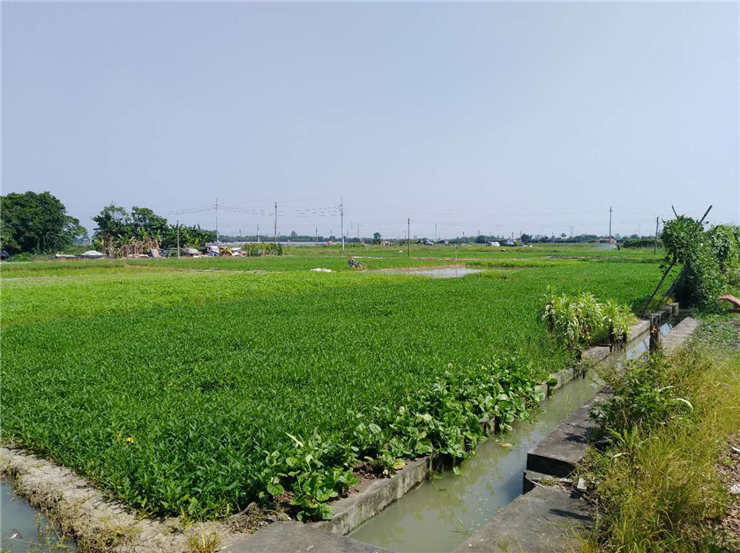 首页| J9集团国际站官方网站