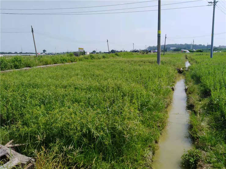 首页| J9集团国际站官方网站