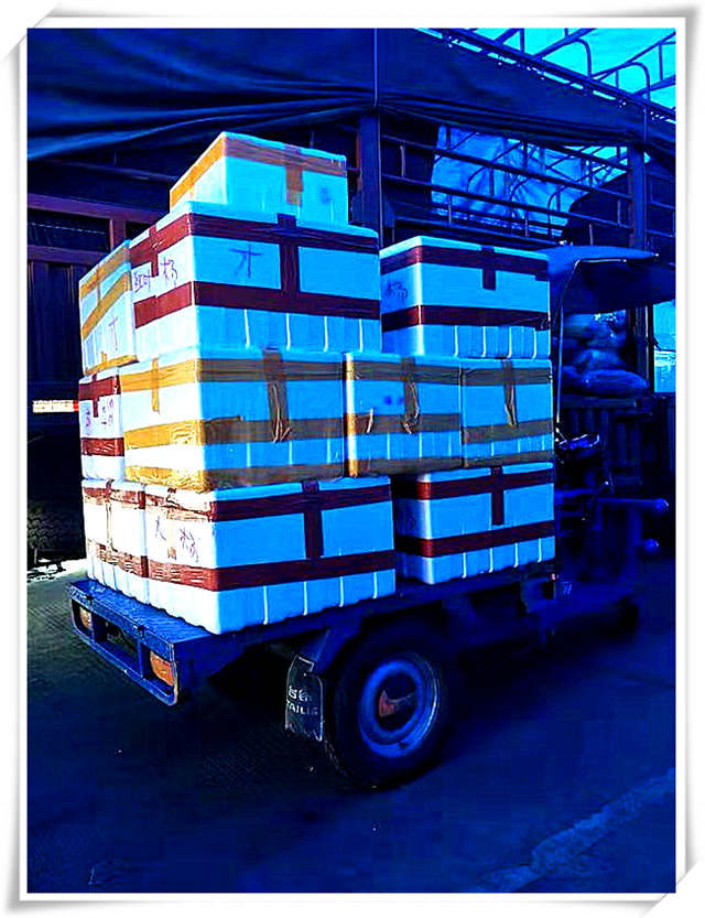 首页| J9集团国际站官方网站