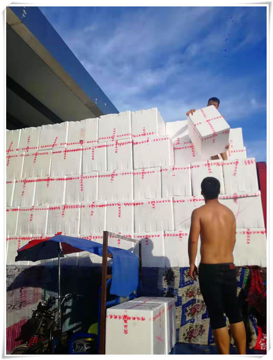 首页| J9集团国际站官方网站