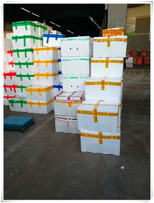 首页| J9集团国际站官方网站