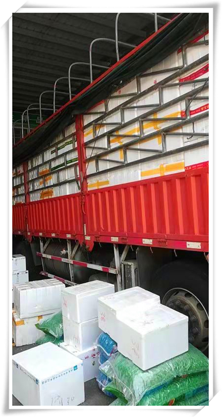 首页| J9集团国际站官方网站