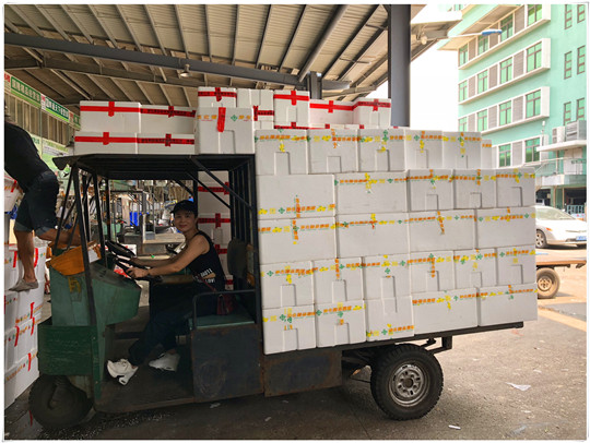 首页| J9集团国际站官方网站