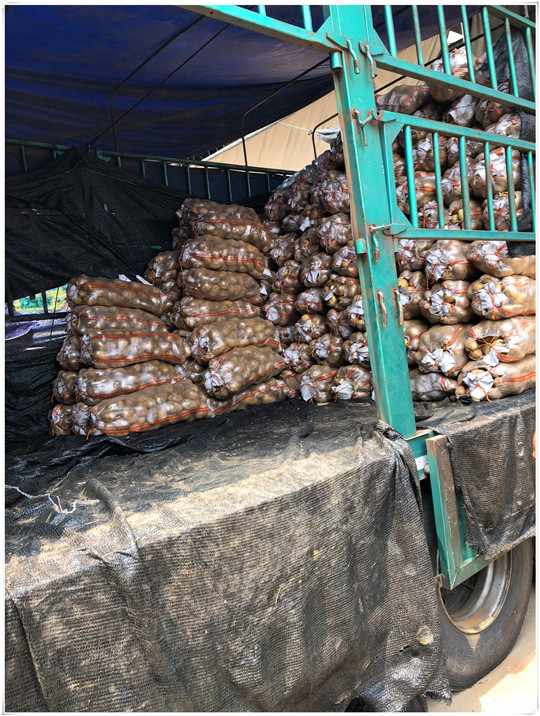 首页| J9集团国际站官方网站