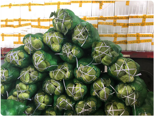 首页| J9集团国际站官方网站