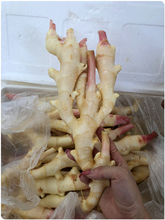 首页| J9集团国际站官方网站