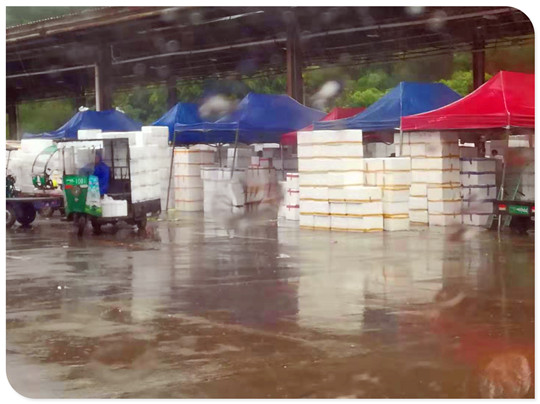 首页| J9集团国际站官方网站