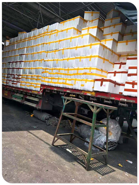 首页| J9集团国际站官方网站