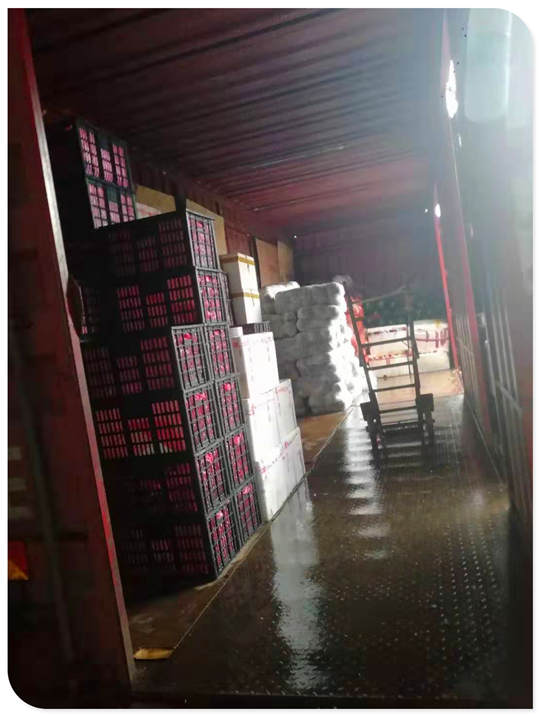 首页| J9集团国际站官方网站