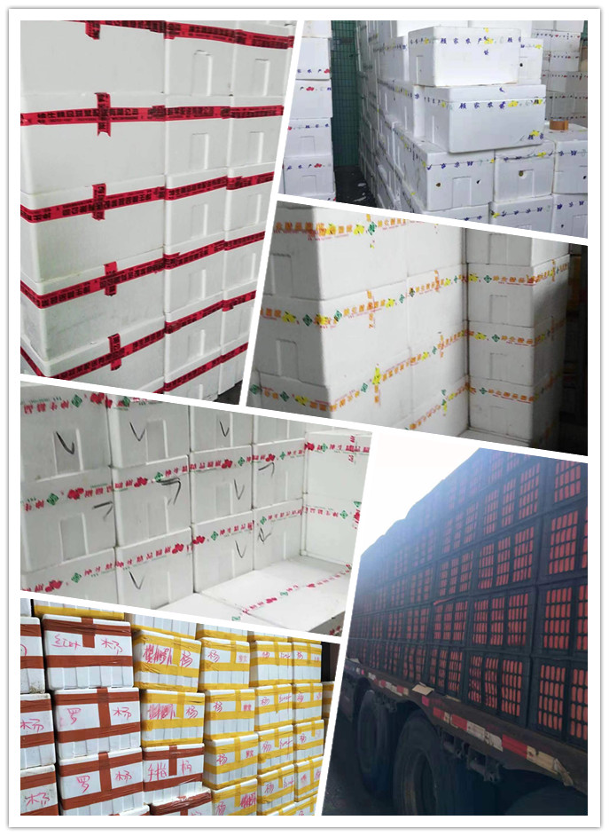 首页| J9集团国际站官方网站