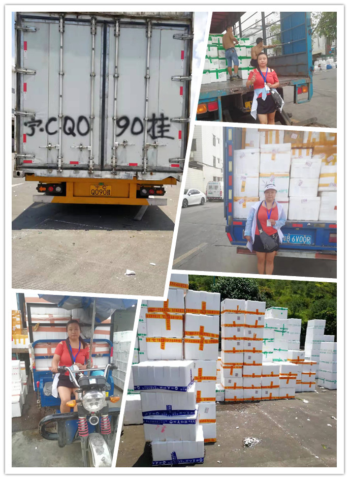 首页| J9集团国际站官方网站