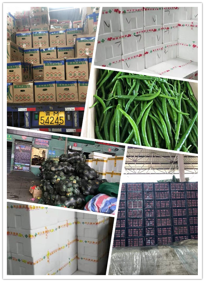 首页| J9集团国际站官方网站