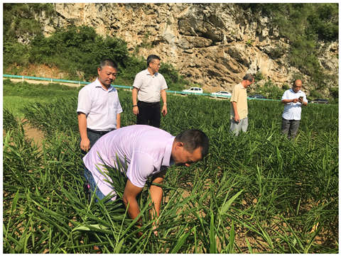 首页| J9集团国际站官方网站