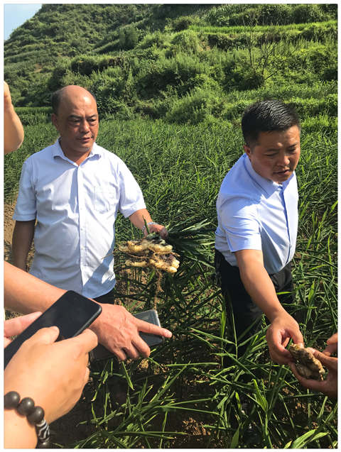 首页| J9集团国际站官方网站