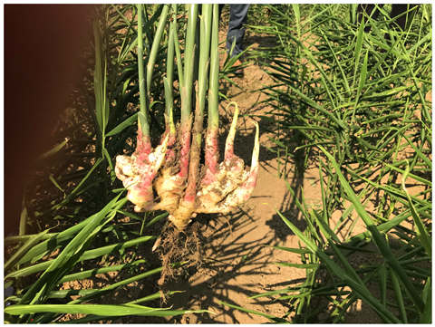 首页| J9集团国际站官方网站