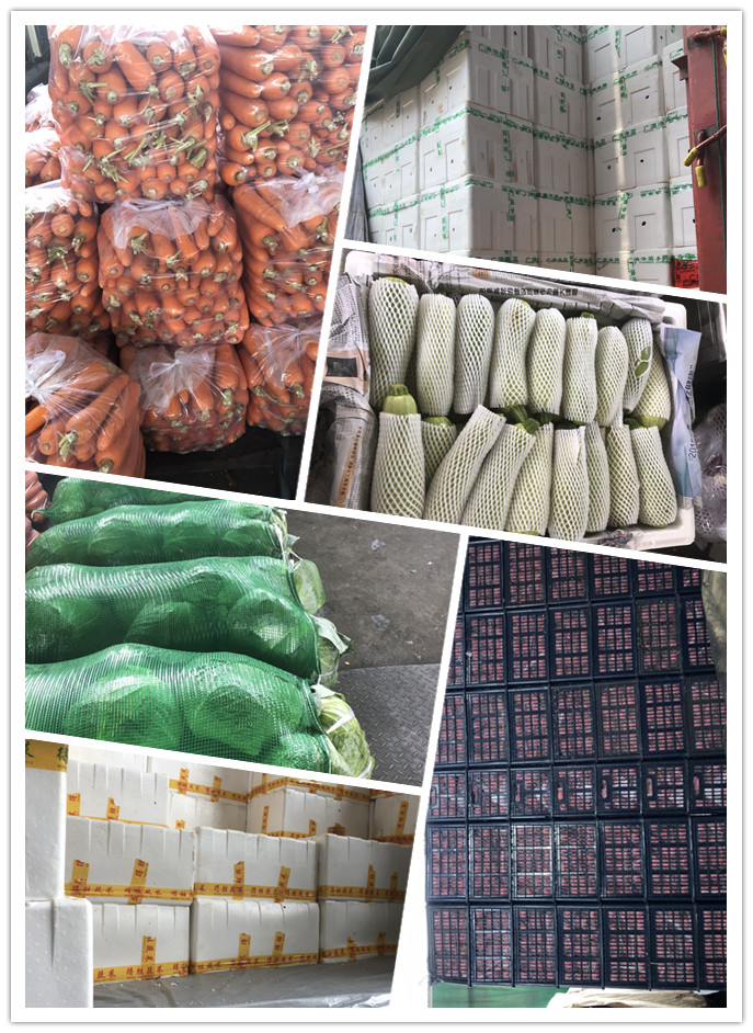 首页| J9集团国际站官方网站