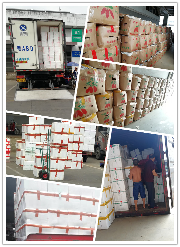 首页| J9集团国际站官方网站